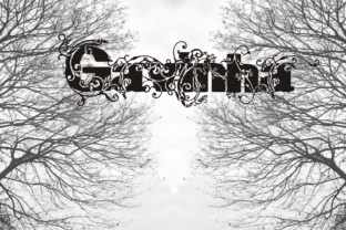 Gavinha Font: Stylish Display Design for Creative Projects