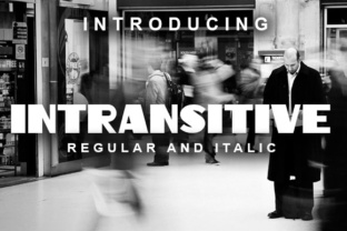 Intransitive: A Retro-Inspired Display Font for Handmade Labels, Invitations, and More