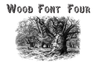 Wood Four Font: A Designer’s Review for Handmade Branding and Product Labels